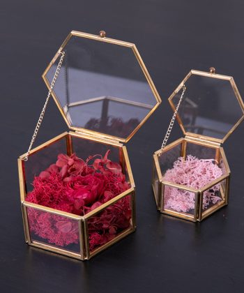 Hexagonal Brass-Trimmed Glass Storage Box: Succulent Terrarium Greenhouse × Preserved Flower Decor, 2-in-1 Creative Jewelry Organizer